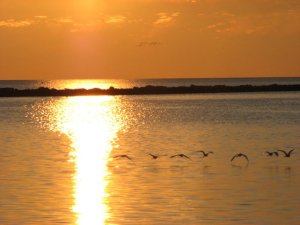The beautiful Mississippi Gulf Coast.                      Photo: Keith Register