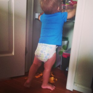 Has anyone seen  my paintbrushes?